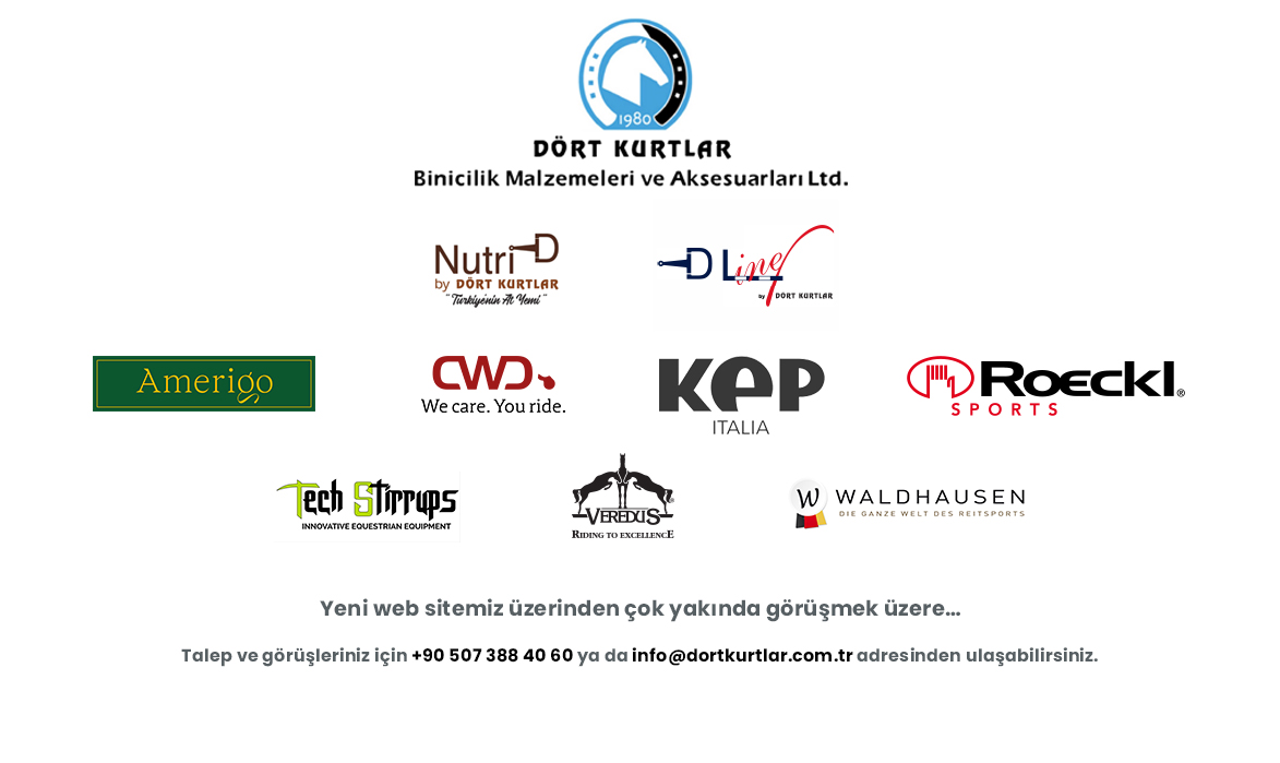 Dört Kurtlar